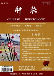 肝脏封面